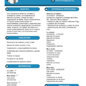 CV - PROFESIONAL